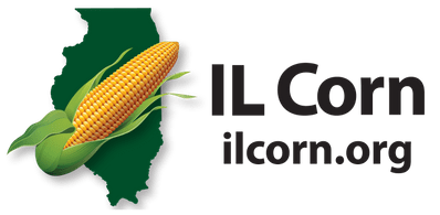 ILCorn_Horizontal_Web_Centered_Trans