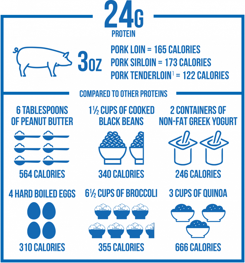 Power of Protein info icons-1