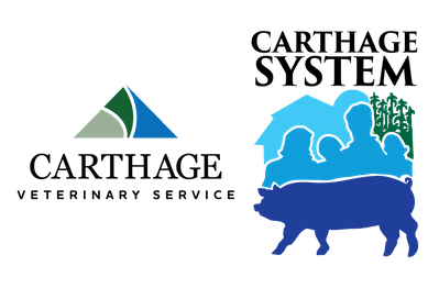 CVSPSMLogo-smaller