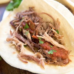 Slow_Cooker_Pork_Carnitas_HR_crop_728_728